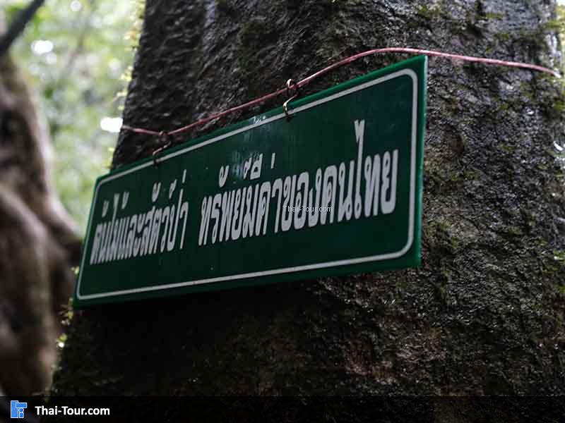 ป้ายแนะนำ