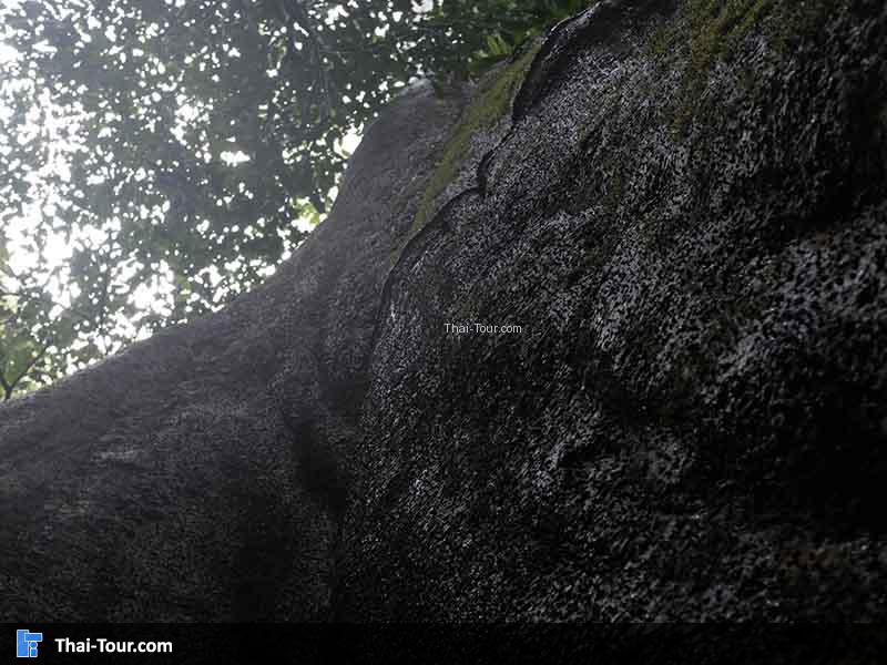 บรรยากาศร่มรื่น