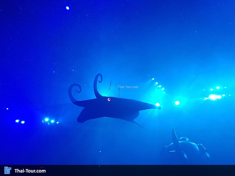 ปลากระเบน