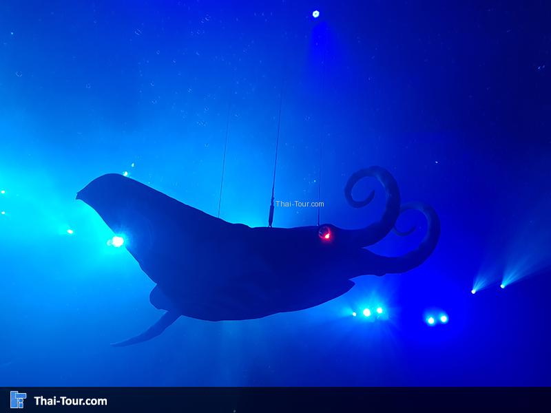 ทำเซอร์ไพรส์คนดู