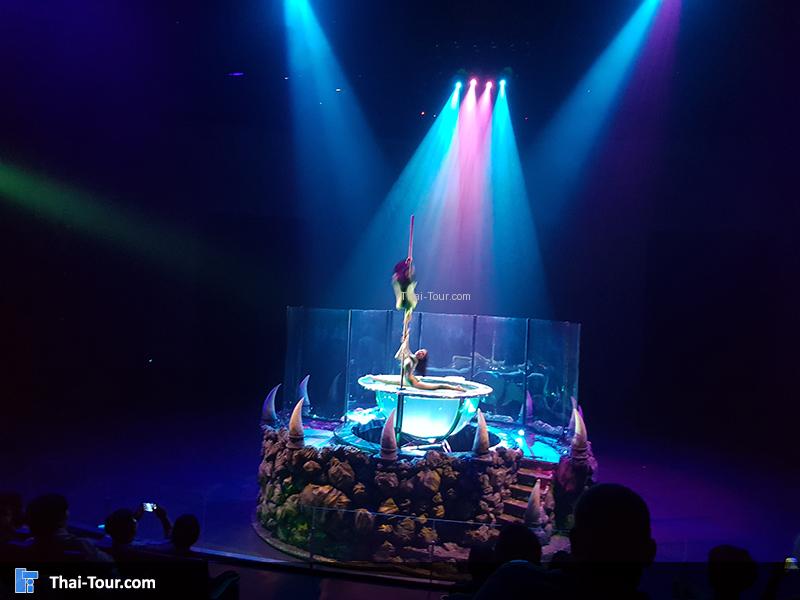 ระบำบนและในอ่างน้ำ