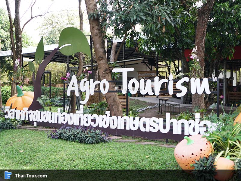 การท่องเที่ยวเชิงการเกษตรปากช่อง