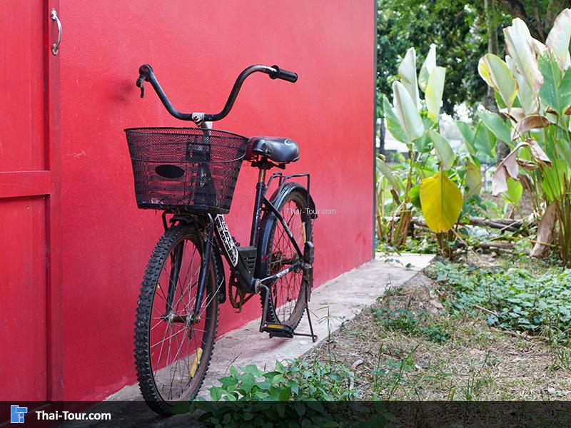 การท่องเที่ยวเชิงการเกษตรปากช่อง