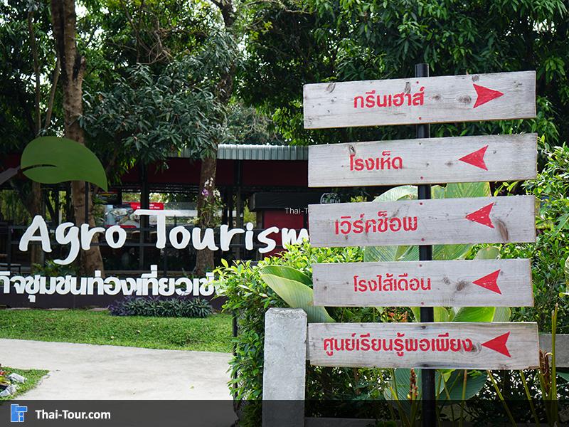 การท่องเที่ยวเชิงการเกษตรปากช่อง