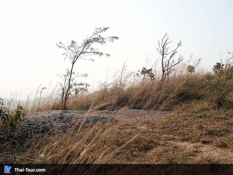 ยอดเขาพระแม่ย่า