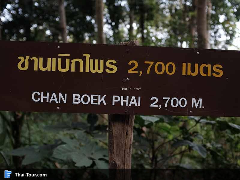 ชานเบิกไพร