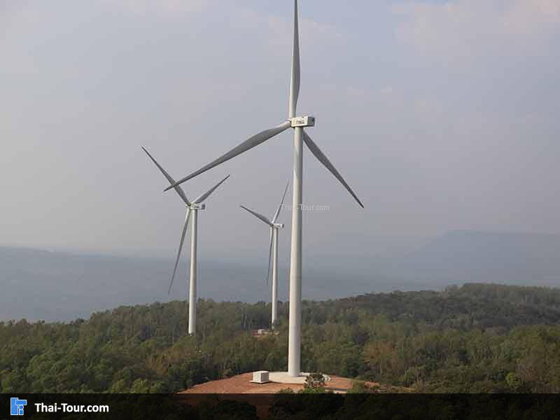 มุมที่ถ่ายได้ชัดฉุด