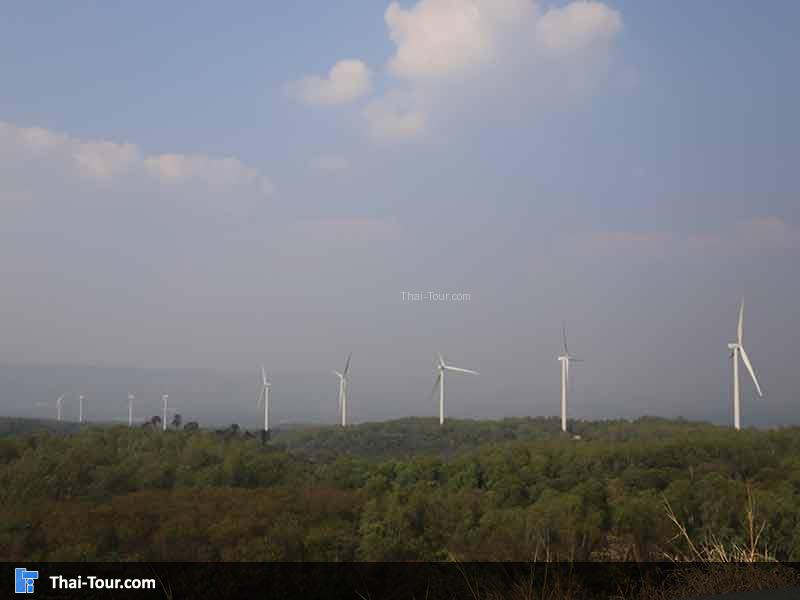 มุมถ่ายรูป สวยที่สุด