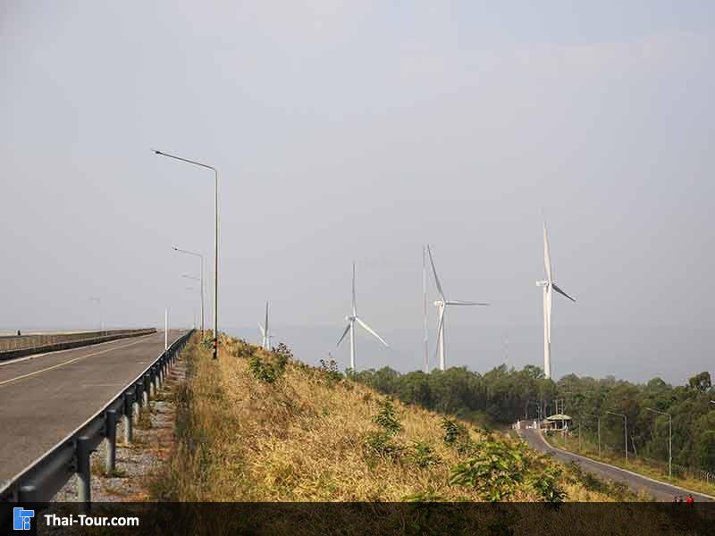 กังหันลม เขายายเที่ยง บรรยากาศทุ่งหญ้าสีเหลืองทอง