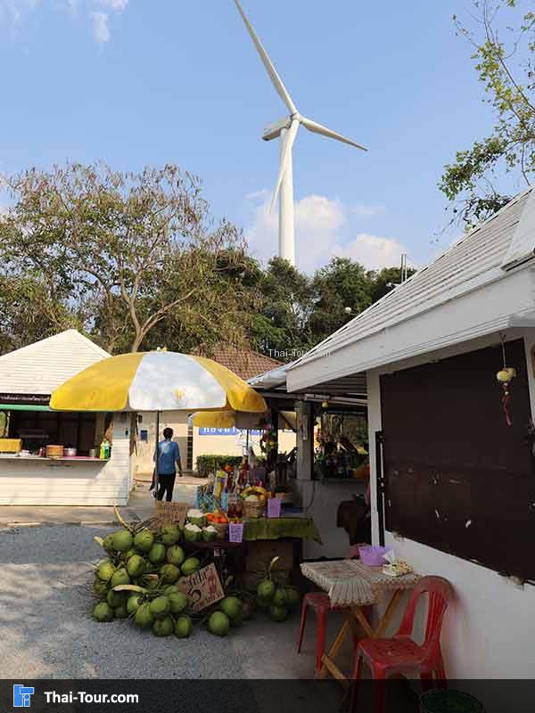 กังหันลม เขายายเที่ยง