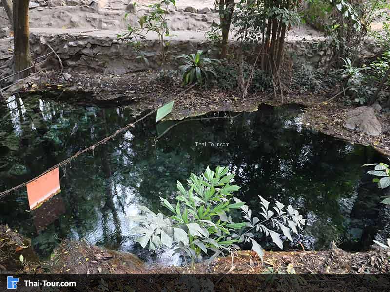 น้ำผุดเขาใหญ่