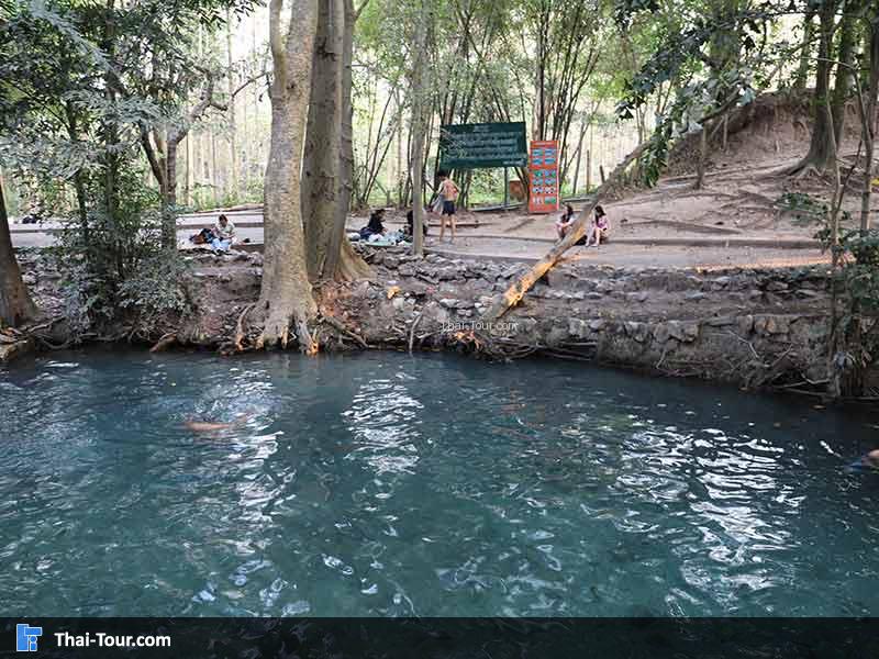 น้ำผุดเขาใหญ่