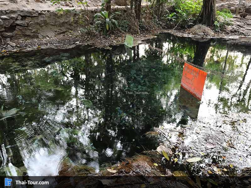 น้ำผุดเขาใหญ่