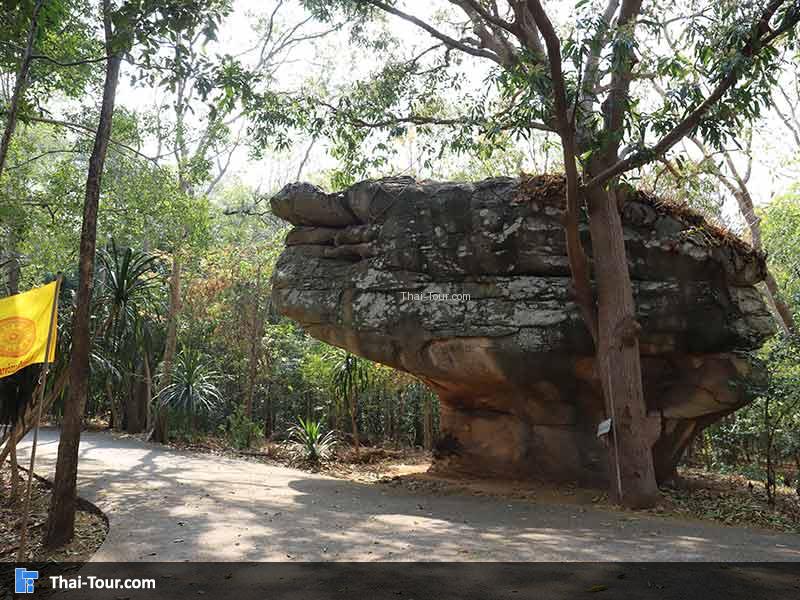 จุดเดินผ่านเป้นธรรมชาติ