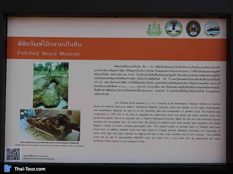 ประวัติความเป็นมา พิพิธภัณฑ์ไม้กลายเป็นหิน