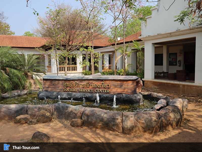 พิพิธภัณฑ์ไม้กลายเป็นหิน