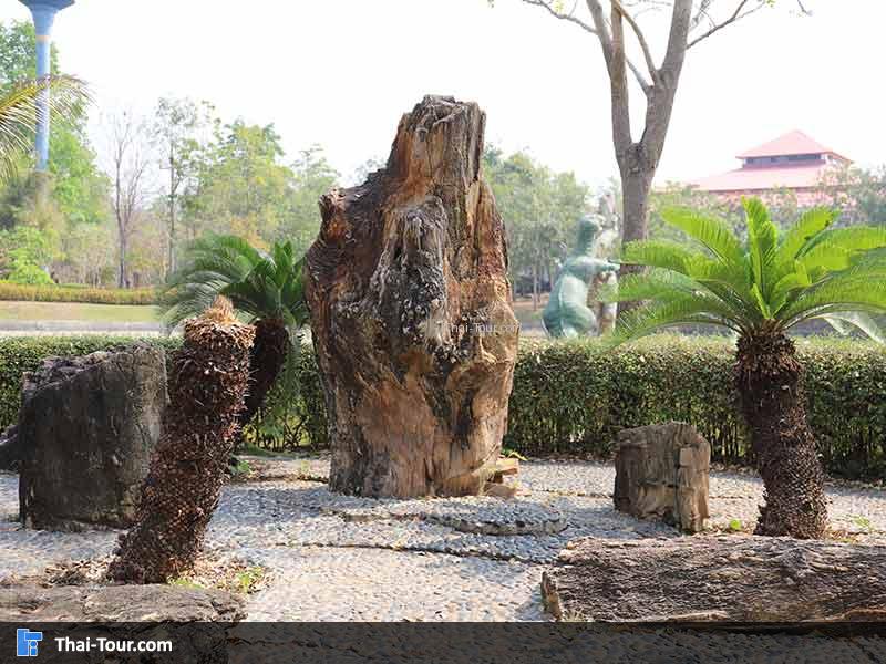 พิพิธภัณฑ์ไม้กลายเป็นหิน