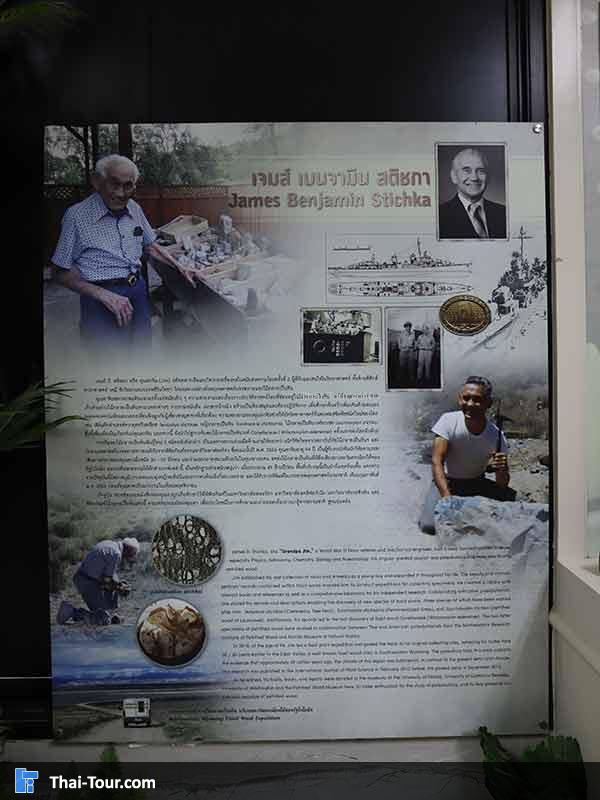 พิพิธภัณฑ์ไม้กลายเป็นหิน