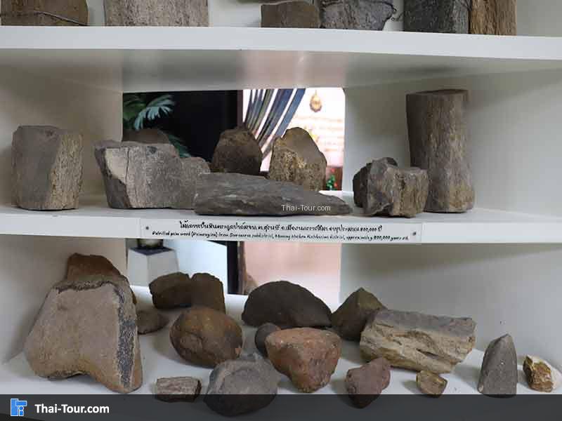 พิพิธภัณฑ์ไม้กลายเป็นหิน