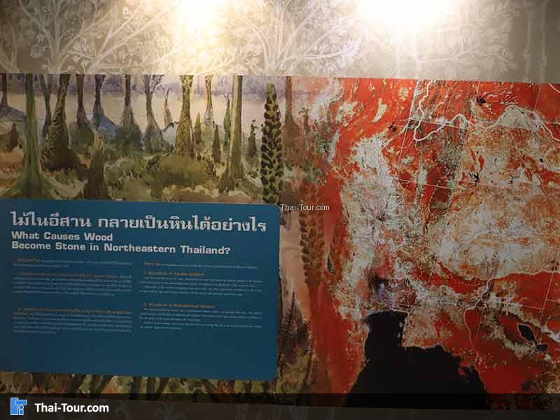 พิพิธภัณฑ์ไม้กลายเป็นหิน