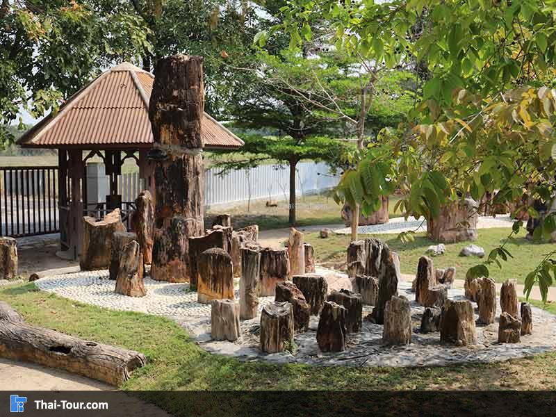 พิพิธภัณฑ์ไม้กลายเป็นหิน