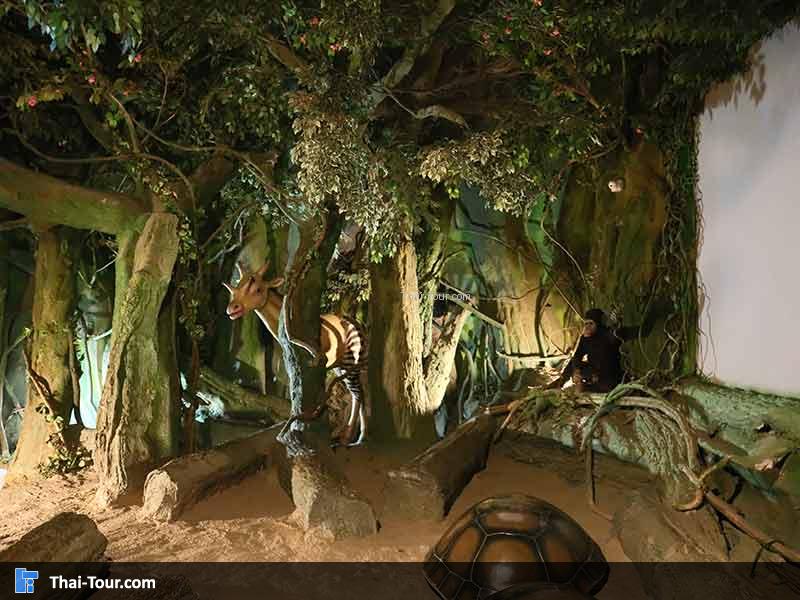 พิพิธภัณฑ์ไม้กลายเป็นหิน