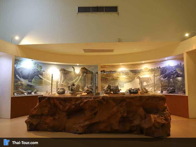 พิพิธภัณฑ์ไม้กลายเป็นหิน