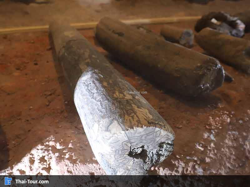 พิพิธภัณฑ์ไม้กลายเป็นหิน