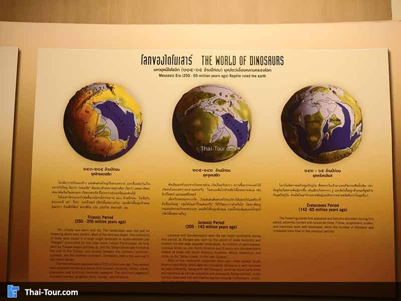 พิพิธภัณฑ์ไม้กลายเป็นหิน