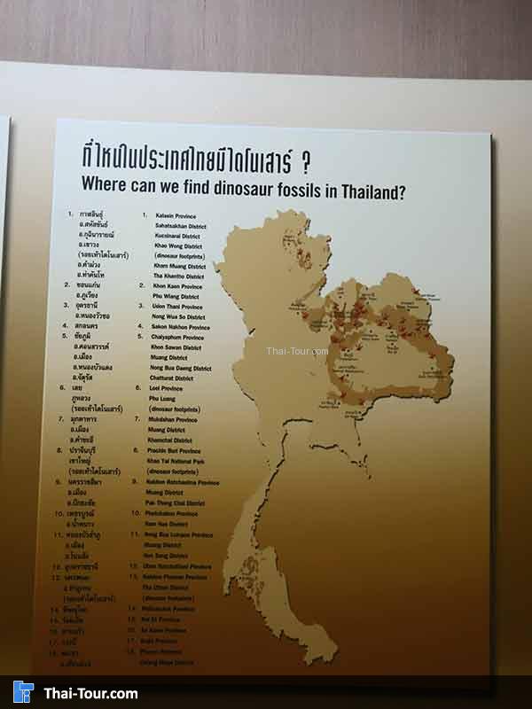 พิพิธภัณฑ์ไม้กลายเป็นหิน