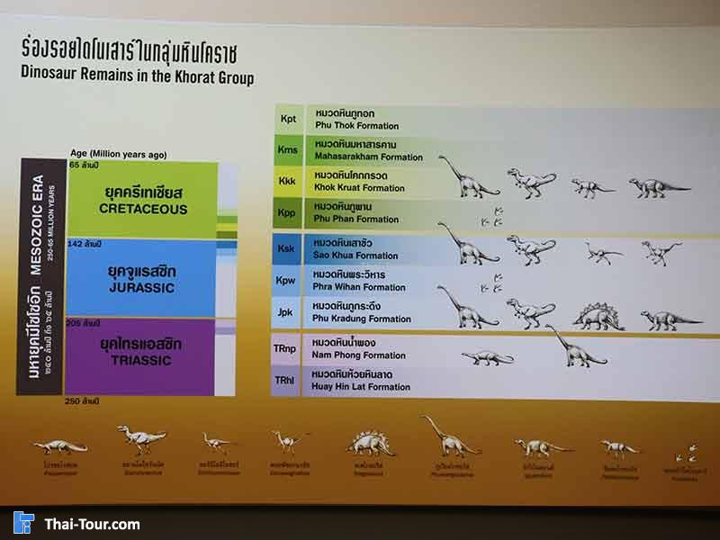 พิพิธภัณฑ์ไม้กลายเป็นหิน