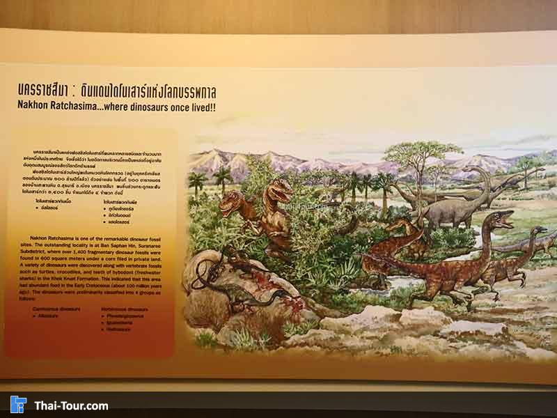 พิพิธภัณฑ์ไม้กลายเป็นหิน