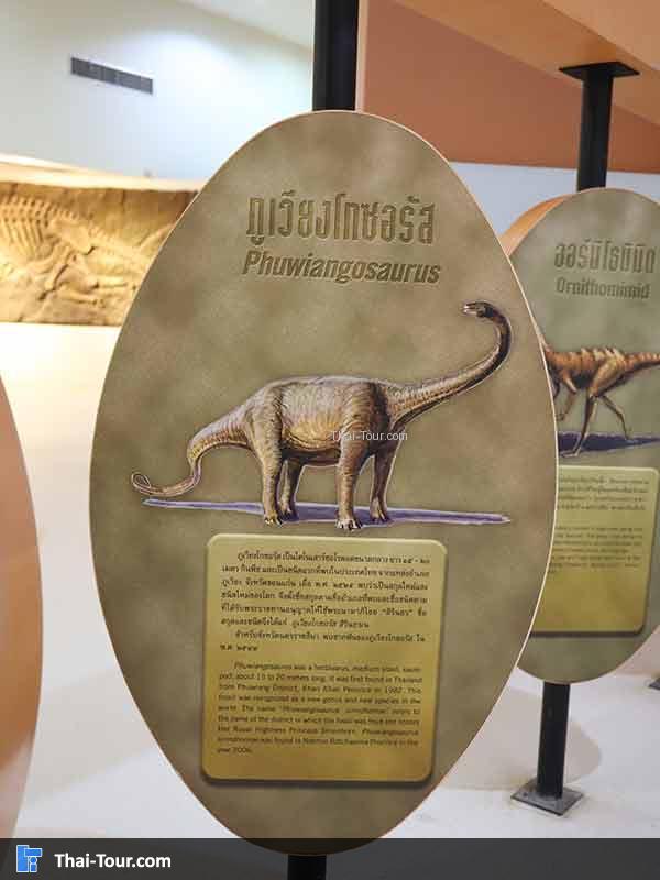 พิพิธภัณฑ์ไม้กลายเป็นหิน