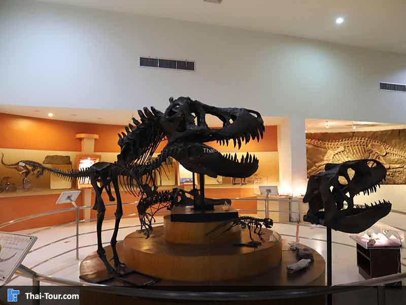 พิพิธภัณฑ์ไม้กลายเป็นหิน