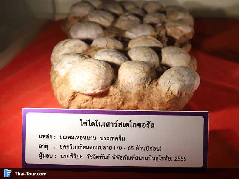 พิพิธภัณฑ์ไม้กลายเป็นหิน