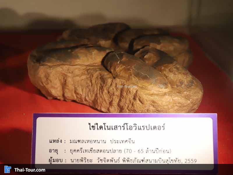 พิพิธภัณฑ์ไม้กลายเป็นหิน