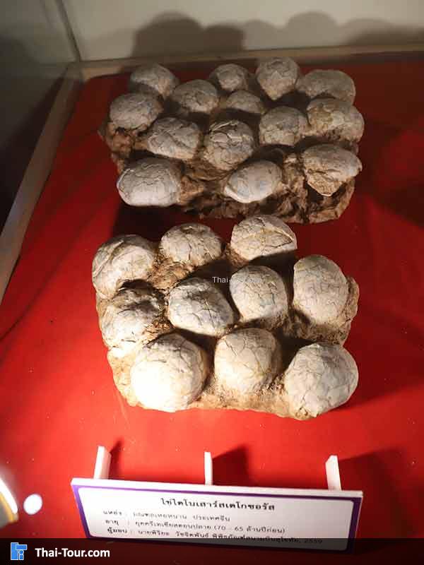 พิพิธภัณฑ์ไม้กลายเป็นหิน