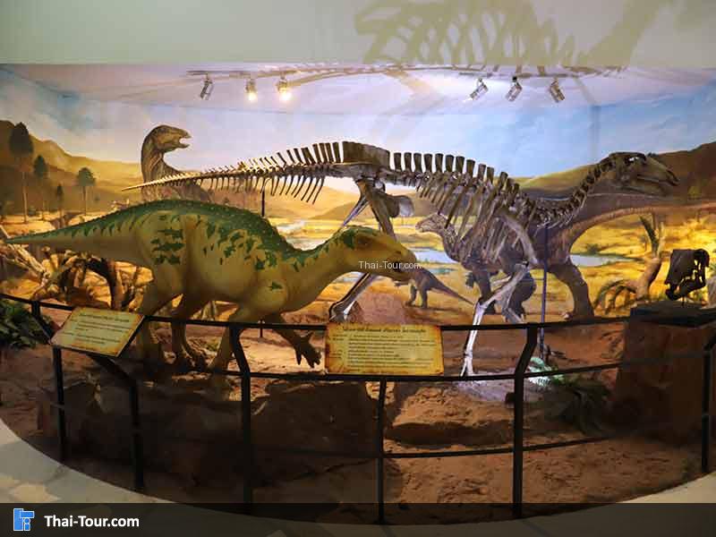 พิพิธภัณฑ์ไม้กลายเป็นหิน