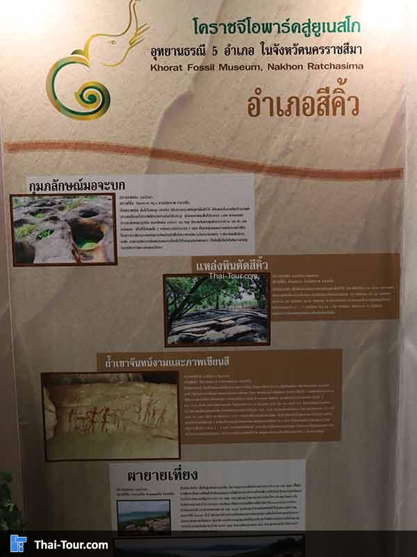 พิพิธภัณฑ์ไม้กลายเป็นหิน