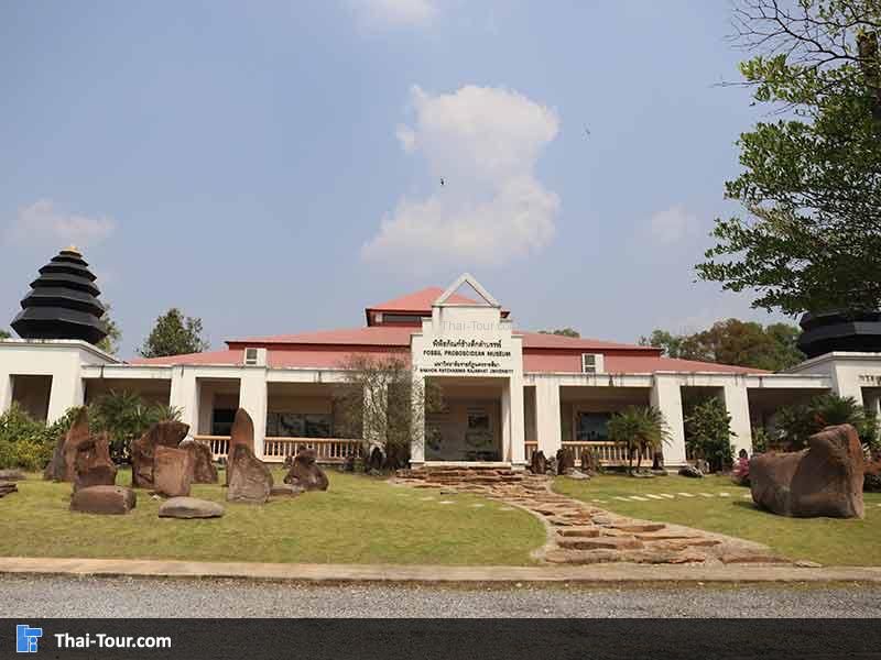 พิพิธภัณฑ์ไม้กลายเป็นหิน