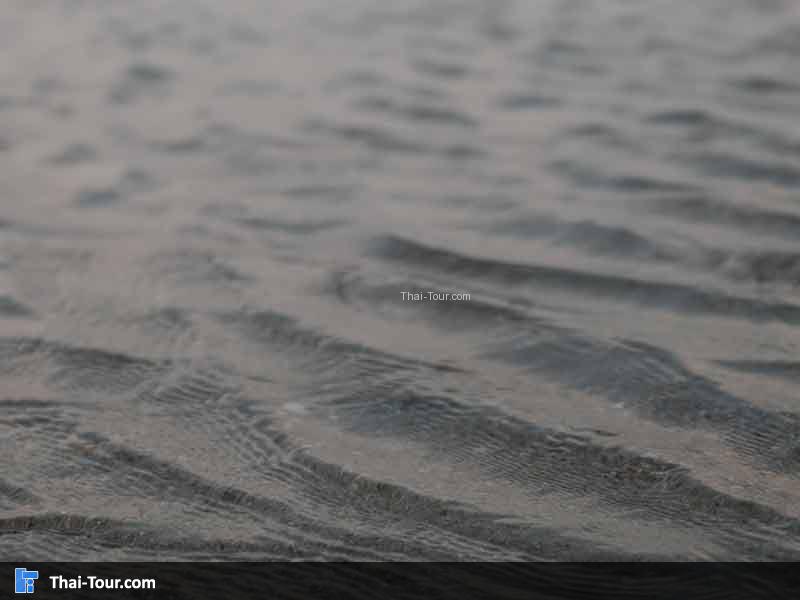หาดวนกร น้ำทะเล