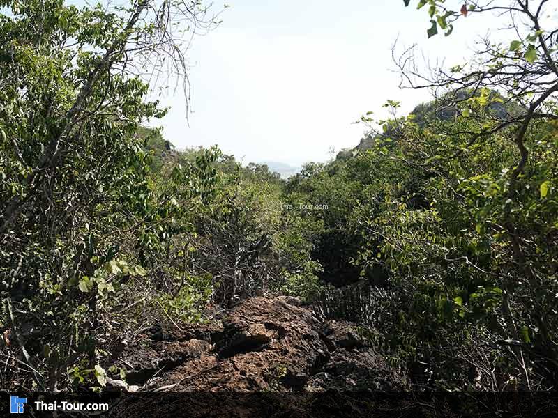 ทางเดิน  จุดชมวิวเขาแดง 