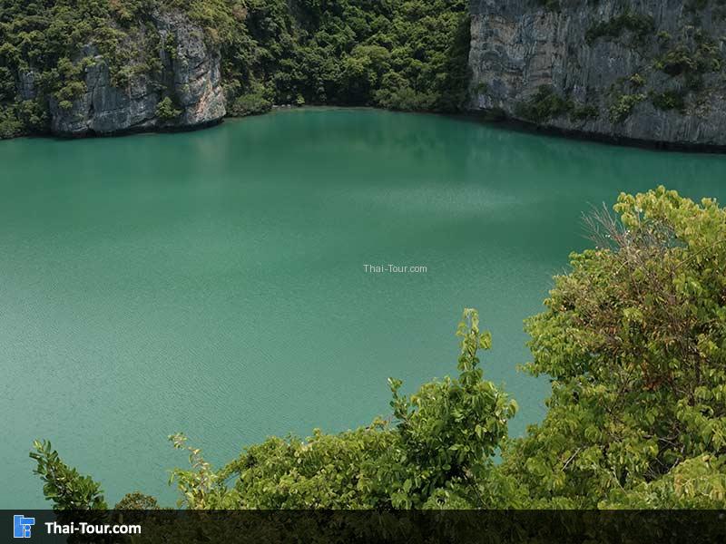 ทะเลใน สีเขียวสวยมาก