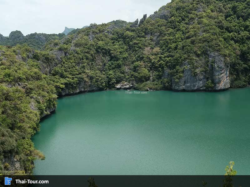 ทะเลใน สีเขียวสวยมาก