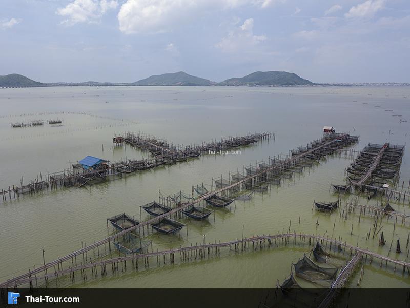 มุมสูงด้านบน มองเห็นชุมชนชาวประมง