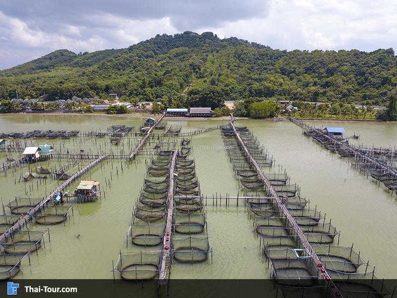 ภาพวิวสวยๆ มองเห็นวิวภูเขา