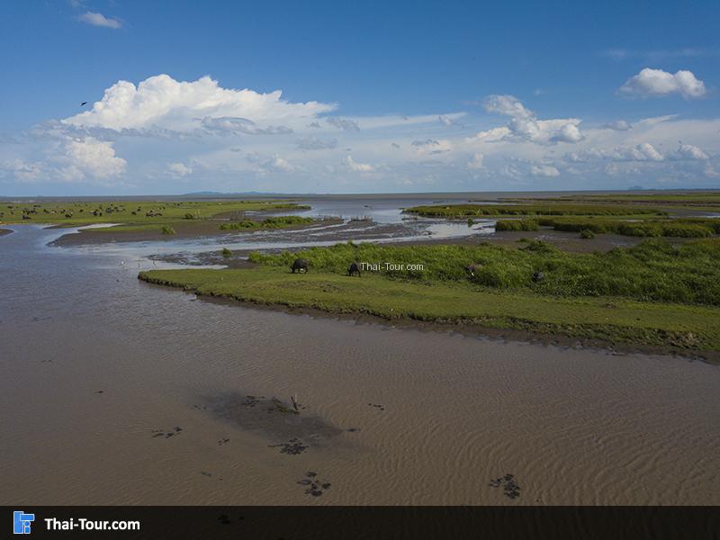 บึงขนาดใหญ่ ใต้สะพาน