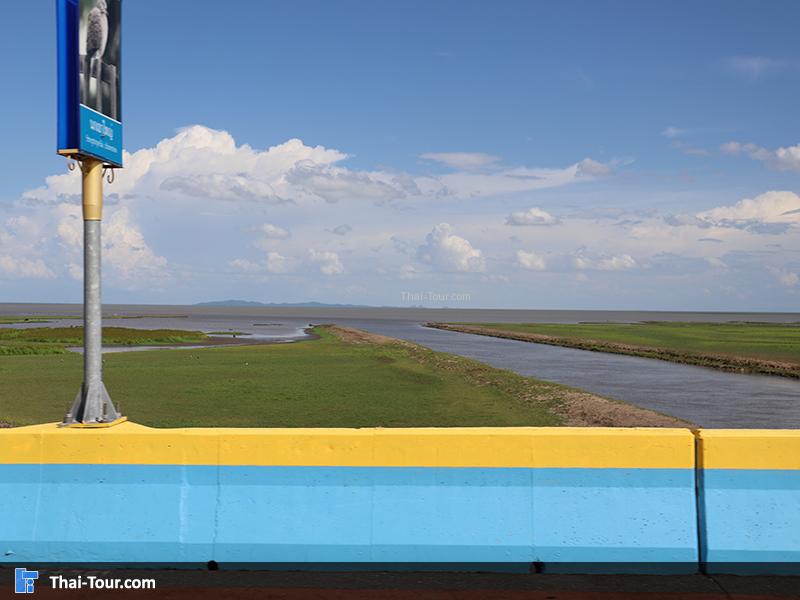 ริมถนน มุมสูง สะพานเอกชัยย หรือเรียกว่าสะพานเฉลิมพระเกียรติ์ 80 พรรษา