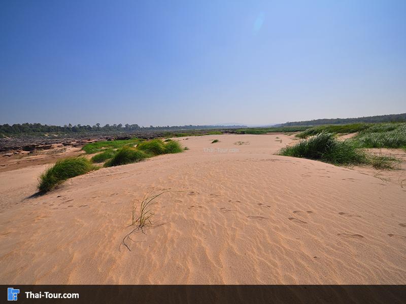 ขนาดของหาดหงส์ใหญ่เหมือนกัน