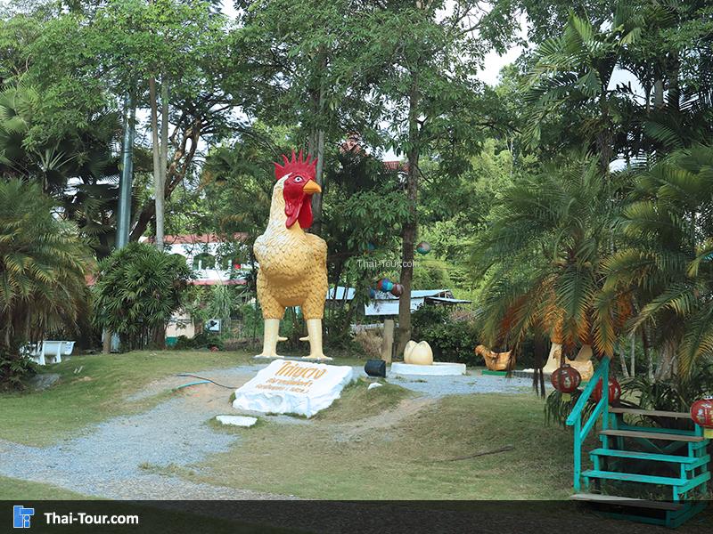 ไก่เบตง ยะลา